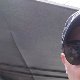 �����, �����������, 38 ���