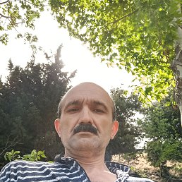 ���� ������, ����, 47 ��� - ��������� 3 ������� 2023