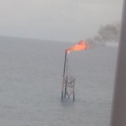 Jean Fidle, �����������, 47 ���