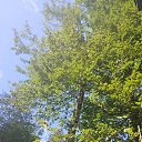 ���� ���, ������, 38 ��� - ��������� 7 �������� 2023 � ������ ���� ����������