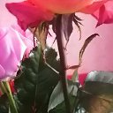 ���� ������, ����� - ��������� 11 ������ 2023 � ������ ���� ����������