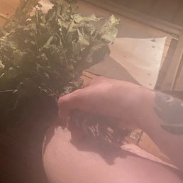 Skid, ������, 31 ���