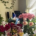 ���� �����, ����-���, 62 ���� - ��������� 9 ������� 2023 � ������ ������ ��������