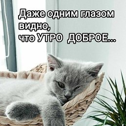 �������, ����, 49 ���