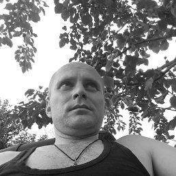 ���� �����, ���, 41 ��� - ��������� 5 ����� 2023