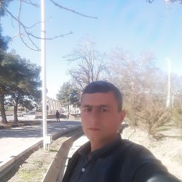 ����, ������ ��������, 40 ���