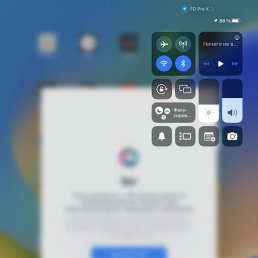 John, ����, 31 ���