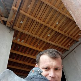 ���� �����, ����, 42 ���� - ��������� 28 ����� 2023