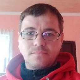 ���������, �����������, 43 ����