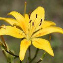  , , 66  -  21  2023    2023