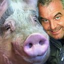 ���� ������, ������, 64 ���� - ��������� 21 ������� 2023 � ������ ������ ��������