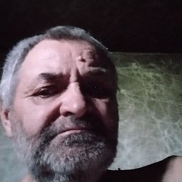 ��������, ������, 65 ���