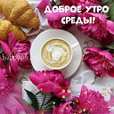 ���� �����, ������, 43 ���� - ��������� 19 ���� 2023 � ������ ���� ����������