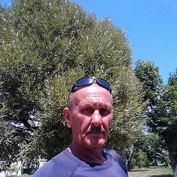 ���� ����, �����, 60 ��� - ��������� 22 ���� 2023