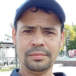 ��������, ������, 40 ���