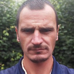 ������, ������, 33 ����