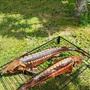 ���� Rezida, ���������� �����, 50 ��� - ��������� 16 ���� 2023 � ������ ������ ��������