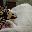 ���� �����, ���������, 56 ��� - ��������� 24 ������ 2023 � ������ ���� ����������