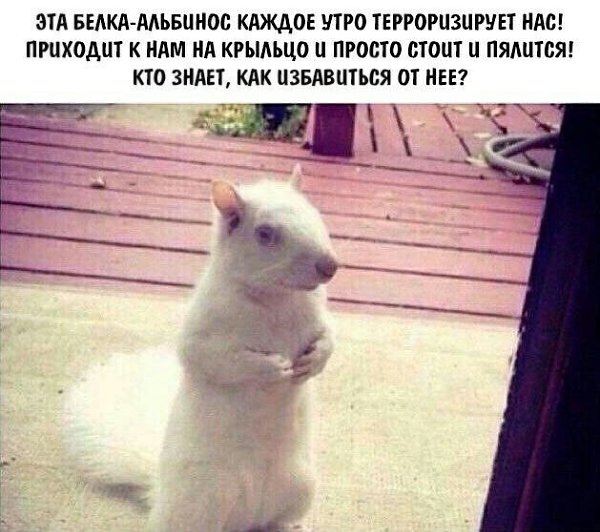    - 2  2023  02:43