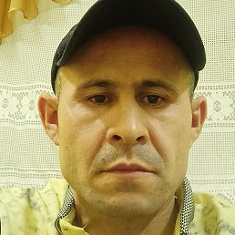 ��������, ������, 41 ���