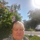 ���� �������, ����, 43 ���� - ��������� 4 ������� 2023 � ������ ���� ����������