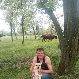 ���� ������, ���������, 50 ��� - ��������� 19 ���� 2023