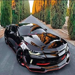 ���� �����, ������, 32 ���� - ��������� 6 ��� 2023