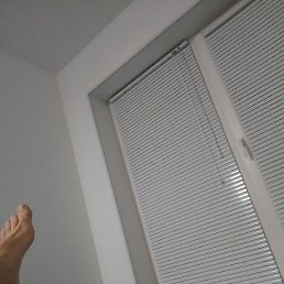 ����, ������, 50 ���