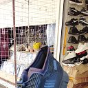 ���� ���������, �����, 38 ��� - ��������� 22 ������ 2023