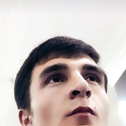 �����, �����������, 24 ����