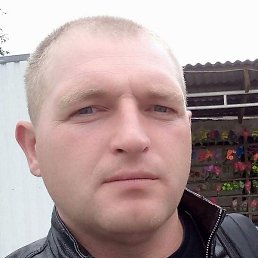 �����, ������, 36 ���