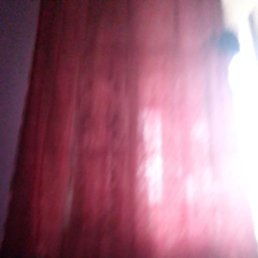 �����, ������, 37 ���