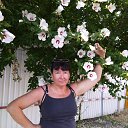 ���� ��������, �����-��������� - ��������� 2 ������� 2023 � ������ ���� ����������