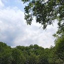 ���� ����, ���������, 62 ���� - ��������� 22 ���� 2023 � ������ ���� ����������