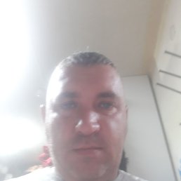 �������, ������, 43 ����