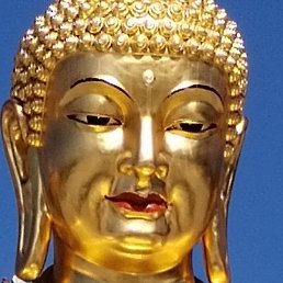 ����, �������, 46 ���