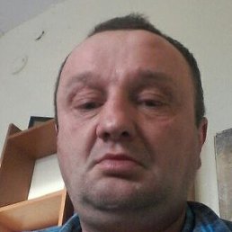 �������, �������, 46 ���