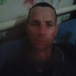 ���� ����, �����, 62 ���� - ��������� 2 ������� 2023