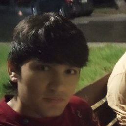 Bedil, ������, 24 ����