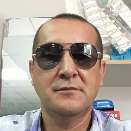 ���������, �������, 43 ����