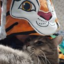 ���� �������, �����������, 53 ���� - ��������� 1 ��� 2023 � ������ ���� ����������