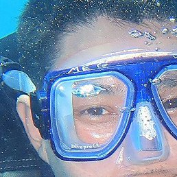 �����, ������, 37 ���