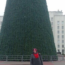 ���� ������, ������, 61 ��� - ��������� 4 ������ 2023