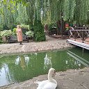  , --, 57  -  6  2023     2023