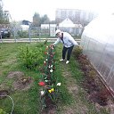 ���� ����, ������, 49 ��� - ��������� 17 ���� 2023 � ������ ���� ����������