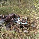 ���� ���������, ����������, 70 ��� - ��������� 19 ���� 2023