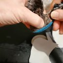 ���� �����, �����������, 54 ���� - ��������� 23 ������� 2023 � ������ ���� ����������