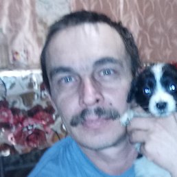 ������, ���������, 43 ����