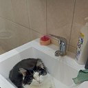 ���� ������, �����������, 29 ��� - ��������� 8 ���� 2023 � ������ ���� ����������