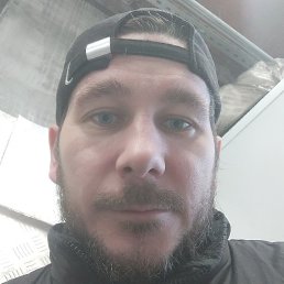 �����, ������, 41 ���